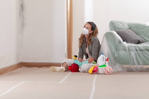 Reliable Black Mold Removal contractor in Riverdale, IL by WQB Mold Removal